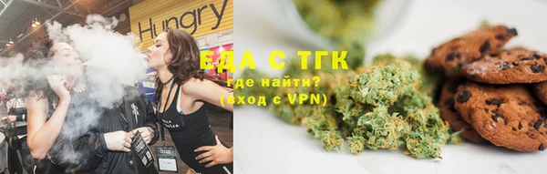 гидра Богородицк
