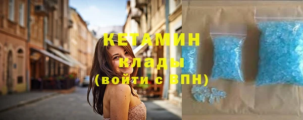 гидра Богородицк