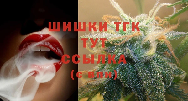 ГАЛЛЮЦИНОГЕННЫЕ ГРИБЫ Балабаново