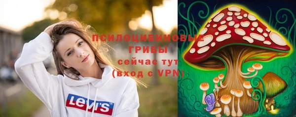 гашик Михайловск