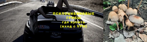 бутират Богданович