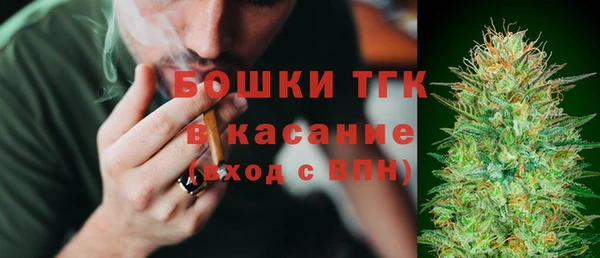 индика Бердск